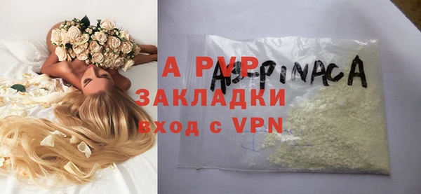 прущие грибы Липки