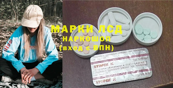 прущие грибы Липки