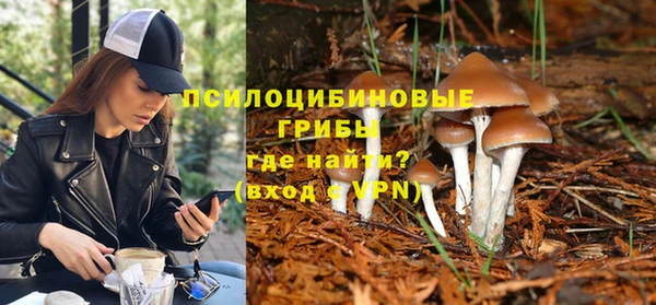 прущие грибы Липки