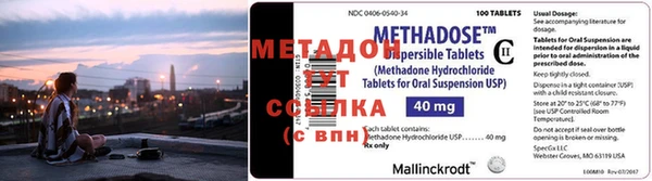 прущие грибы Липки