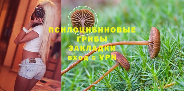 прущие грибы Липки