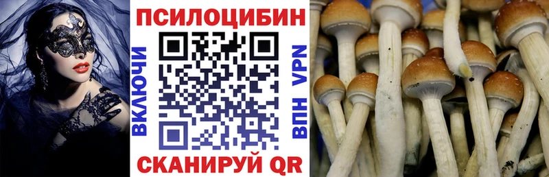 Галлюциногенные грибы мицелий Балашиха