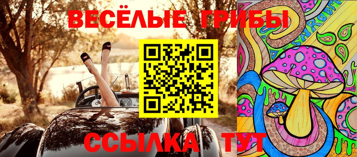 Галлюциногенные грибы прущие грибы Балашиха