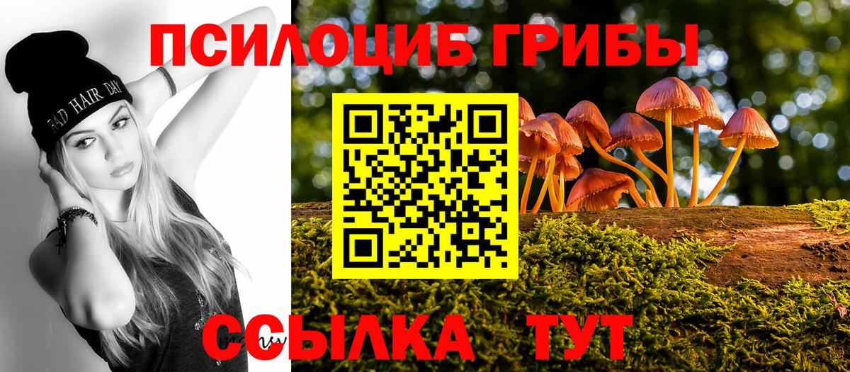 Галлюциногенные грибы мицелий  закладки  Псилоцибиновые грибы GOLDEN TEACHER  Балашиха 