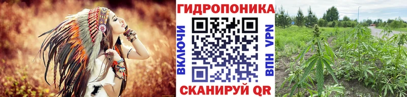 Шишки марихуана LSD WEED Балашиха